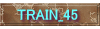 TRAIN_45