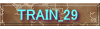 TRAIN_29
